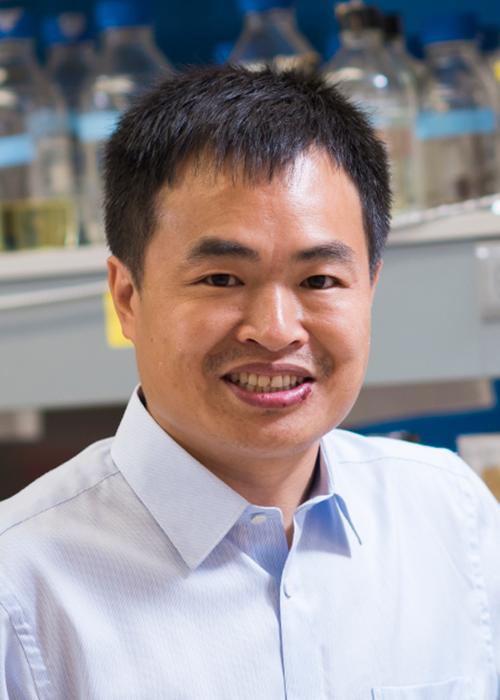 Dr. Qiu