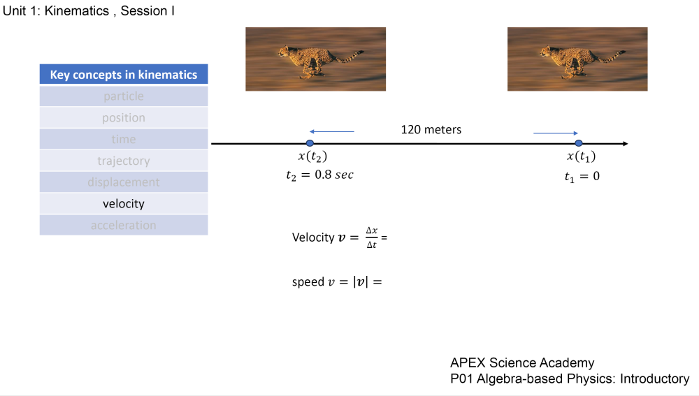 APEX P01: Algebra-based Physics - Introductory